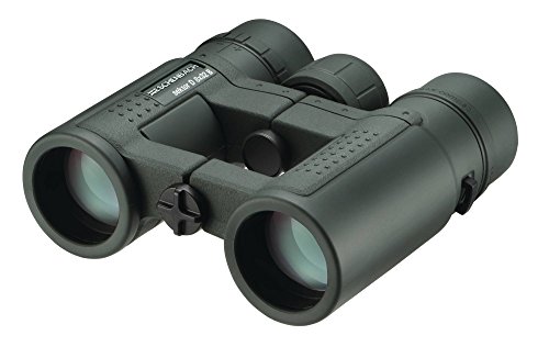 Imagen principal de ESCHENBACH Optik Sektor D 8x32 Compact+ prismáticos Verde