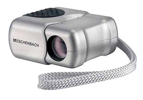 Imagen principal de Eschenbach 4294413 Microlux - Prismático monocular 4 x 13, Gris