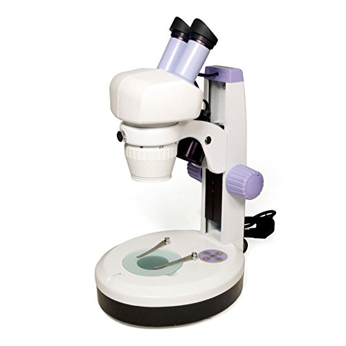 Imagen principal de Microscopio Estereoscópico Levenhuk 5ST (20?40x) para Observaciones e