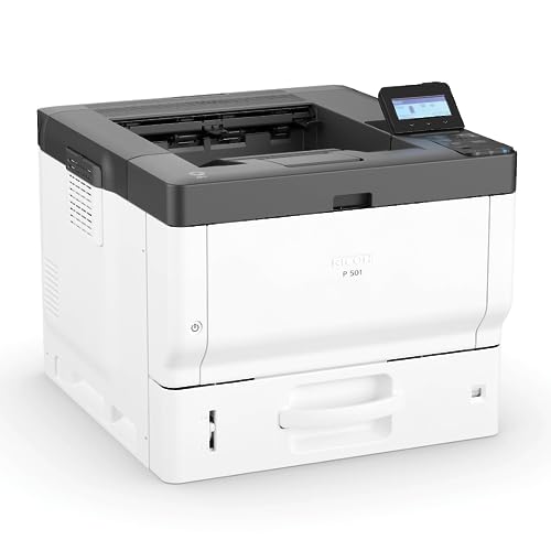 Imagen principal de Ricoh P 501