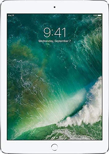 Imagen principal de Apple iPad 9.7 (2017) 32GB 4G - Plata - Desbloqueado (Reacondicionado)