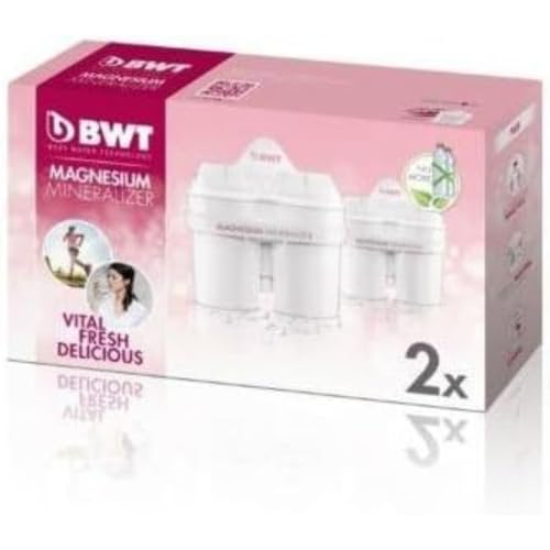 Imagen principal de BWT FILTRO PACK 2 LONGLIFE MG2+ marca