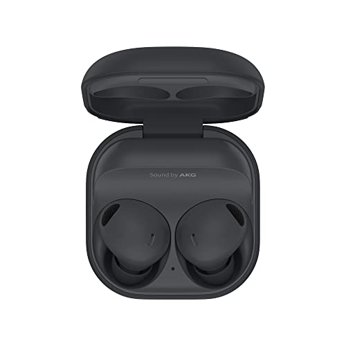 Imagen principal de Samsung Galaxy Buds 2 Pro - Wireless Earphones Graphite