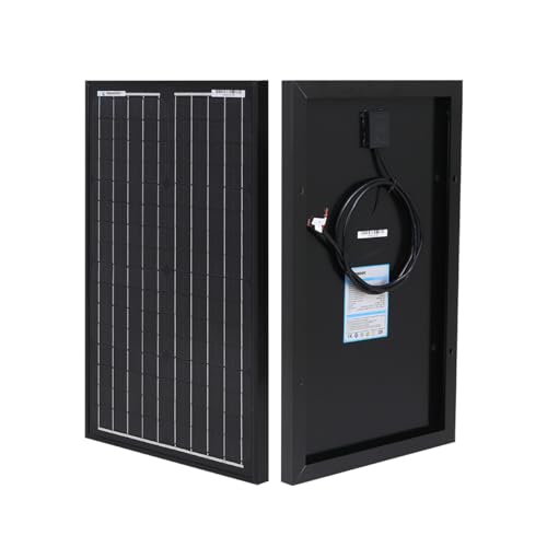 Imagen principal de Renogy - Módulo solar mono de 30 W/12 V (delgado), panel solar, célu