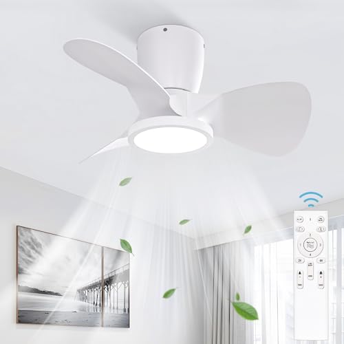 Imagen principal de Ateroll Ventilador de Techo con Luz, 60CM, LED Regulable 3CCT (3000K-4