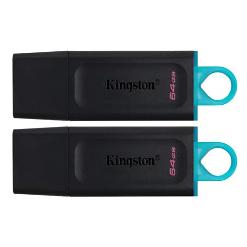 Imagen principal de Kingston DataTraveler Exodia DTX/64GB-2P Flash Drive USB 3.2 Gen 1 - c