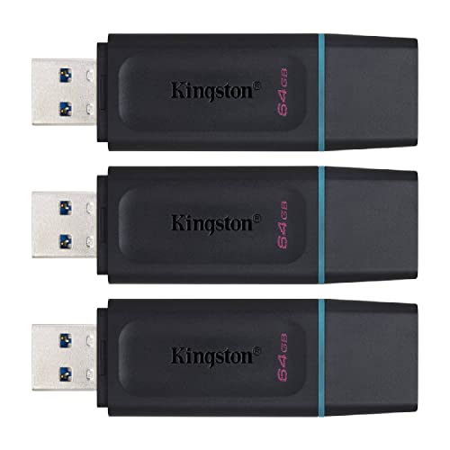 Imagen principal de Kingston Unidad flash DataTraveler Exodia de 64 GB - DTX/64 GB (paquet