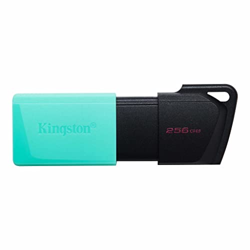 Imagen principal de Kingston DataTraveler Exodia M Memoria flash USB 3.2 Gen 1 DTXM/256GB-