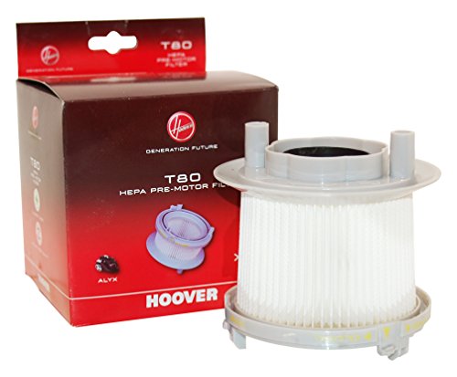 Imagen principal de Hoover 35600415 T80 Hepa filtro Para Alyx alyxx Rush aspirador sin bol