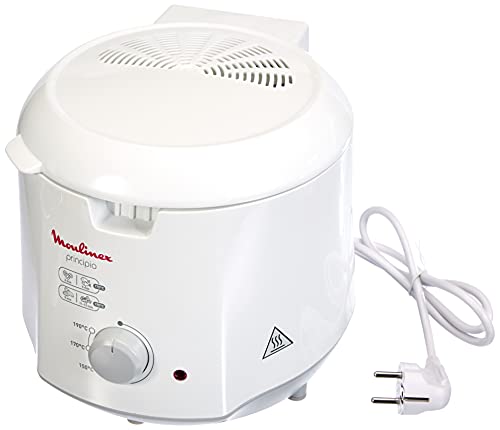 Imagen principal de Moulinex Principio AF2301 Minifreidora compacta con potencia de 1000 W