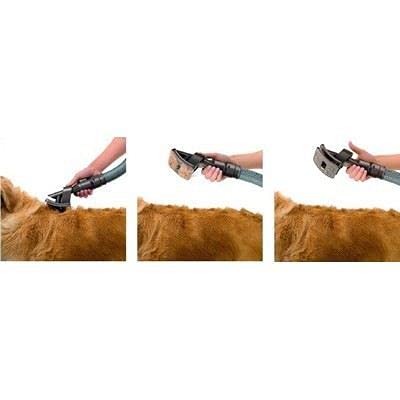 Imagen principal de Dyson 921000-01 - Cepillo groomer para pelo de mascota