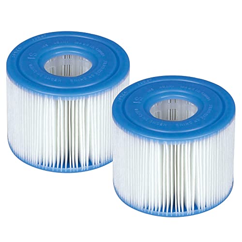 Imagen principal de 29001-PACK 2 Cartuchos Filtro PURESPA Tipo S1